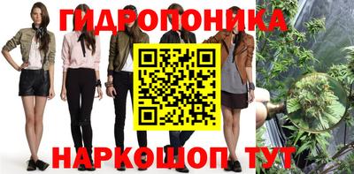мяу мяу мука Заводоуковск